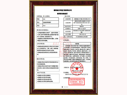 信用报告概述页